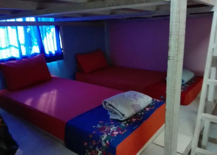 K&M House